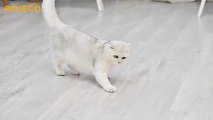 Automatic Interactive Cat  Toy