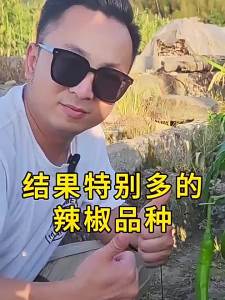 Chili Seeds Colorful Chili Bell Pepper Line Pepper Horn Pepper Sweet Pepper Potted Four Seasons Vegetable Seeds Balcony Garden