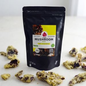 SERIGALE Snack Buah & Sayur Premium Mix Vegetarian Halal - Keripik Brokoli/Oyster Mushroom/Blend 50gr Pouch Zipplock