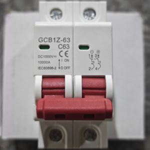 MCB CHINT NXB-63 2P 6kA (4A 6A 10A 16A 20A 25A 32A 40A 50A 63A)