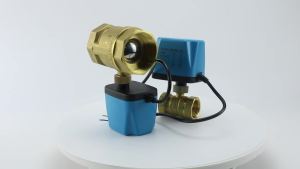DN15 1/2" to 2" Normally Closed Normally Open 220V 12V24V 2-Wire Brass Electric Ball Valve for Water Oil Replaces Solenoid Valve