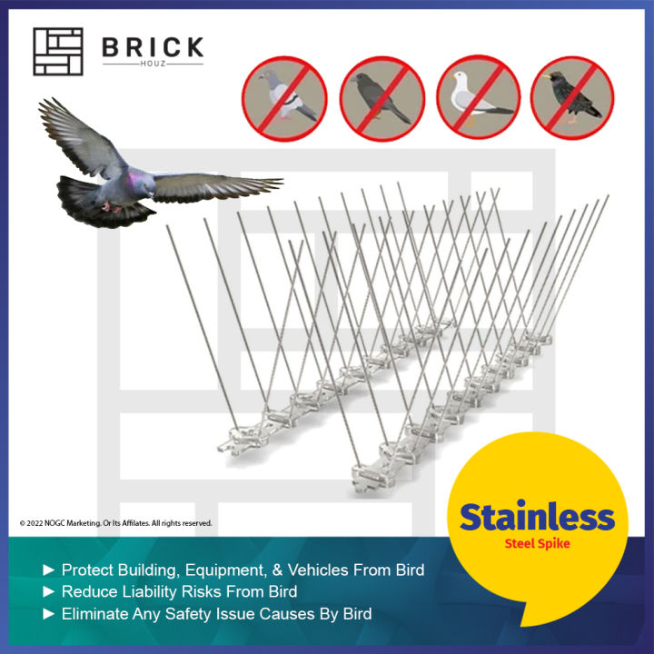 ⌂BRICKHOUZ⌂ 50CM Long [10Pcs/5Pcs] Stainless Steel Bird Spikes Anti ...