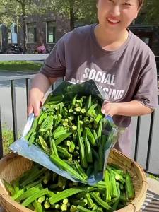 黑松露秋葵干即食果蔬脆冻干脱水脆片办公室宿舍休闲小零食品Dried black truffle okra