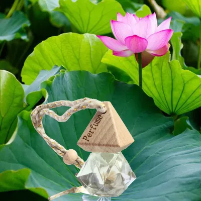 Tinh dầu treo xe phòng tủ quần áo nguyên chất sả chanh xá xị bạc hà trầm hương bưởi quế... có đặc tính khử mùi thanh lọc không khí giúp thư giãn tinh thần giảm stress hiệu quả.