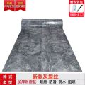 PVC Vinyl Floor Floor New Thickening and Wear-Resistant Waterproof Household Floor Leather Mat Cement Floor Direct Shop Special Offer. 