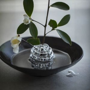 ANGEL Transparent Glass Ball Vase Unique Zen-Inspired Design Hydroponic Flower Vase Plant Pot Minimalist Flower Vase Home Decor