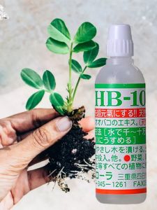 Lo kích rể làm xanh lá giúp tăng trưởng cây HB-101 công nghệ NHẬT BẢN