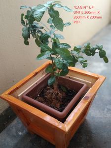 Nordic Style Solid wood Pine Planter Box for Garden Indoor or Outdoor Handmade Natural Pinewood