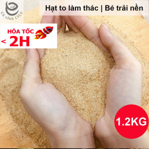 Cát Nắng Vàng 1.2KG trải nền bể cá thủy sinh hạt to làm thác suối cát vật liệu lọc nước trang trí hồ cá tiểu cảnh siêu đẹp khử asen tạp chất có trong nước sinh hoạt hàng ngày