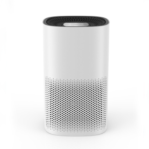 High-Efficiency Anti-Allergy Air Purifier with Washable Filter Anti-PM2.5 Protection and Remote Control for Rooms up to 300 sq ft