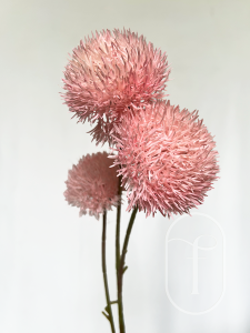 Bunga Valentine / Bunga Palsu / Bunga Maroon / Bunga Pink / Bunga Hijau / Bunga Dianthus Ball