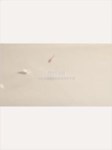 Kem dưỡng da tay Roopy hương thơm lâu siêu mềm mại không gây nhờn rít kem dưỡng da tay 75g Hot Sell