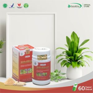 {\n \"article\": \" Kapsul Ekstrak Keladi Tikus: Obat Kanker Herbal