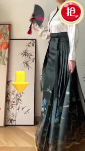 【Ship in 24H】Single Piece Hanfu Long Sleeved Top 2025 New Hanfu Female Song Made Daily Horse Face Skirt