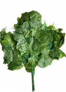 daun anggur hijau tua