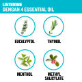 LISTERINE COOL MINT Antiseptic Mouth Wash / Obat Kumur Antiseptik 250ml. 