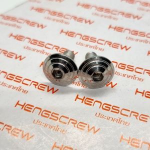 HEATGUARD BOLTS 2 PCS STAINLESS GOLD AND SILVER