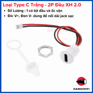 Cổng Sạc Type C 2P Gắn Panel Có Gioăng Chống Nước IPX5 Dây Hàn Sẵn Cho Thiết Bị DIY