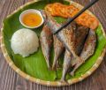 Khô cá thu mặn, khô cá thu loại nhỏ-thịt bùi tươi vị vừa ăn- (Tặng Kèm Mắm Tắc Chua Cay Nhà Làm). 
