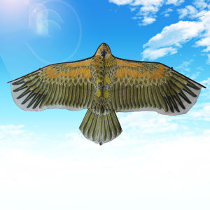 Winsome ว่าว นกอินทรีย์ ว่าวไล่นก ว่าวไล่ ศัตรูพืชว่าวเด็ก อุปกรณ์ว่าว kite