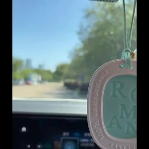 Long Lasting Gypsum Wax Aroma Hanger 120-180 Days Solid Air Freshener Essential Oil Scent Pendant