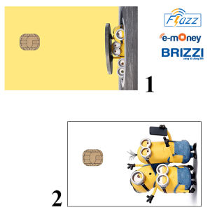 CUSTOM FLAZZ BCA GENERASI 2 ATAU FLAZZ BCA GEN 2 ATAU EMONEY MINION
