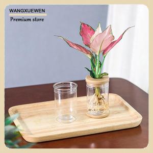 [COD] Chậu hoa lười trong suốt Chậu Hoa Thủy Canh tự động hút nước