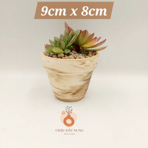 Chậu đất nung chậu sen đá - Ly gờ 98 miệng chậu 9cm chiều cao 8cm