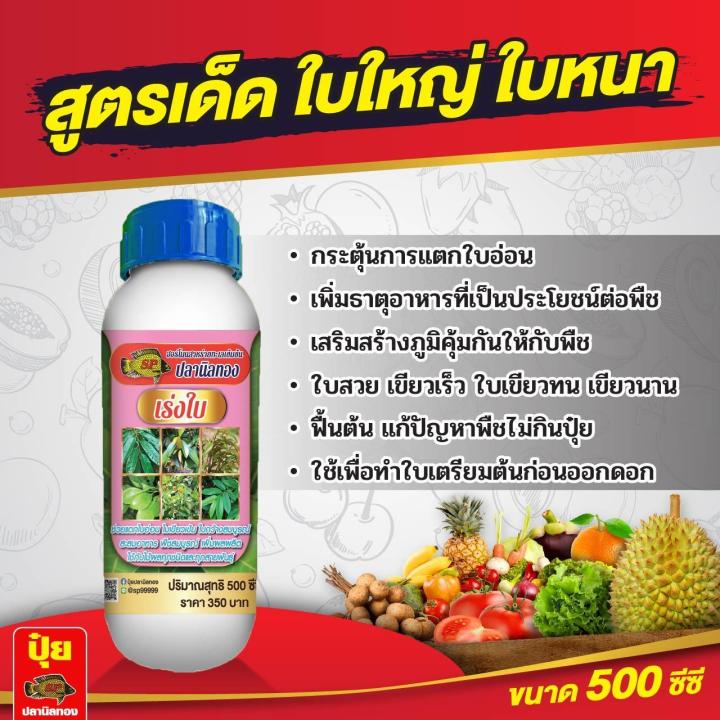 ฮอร์โมนสาหร่ายทะเลเข้มข้น ปลานิลทอง สูตรเร่งใบ ใบเขียวหนา