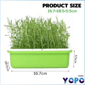 YoPo Seed Germination Tray Double Layer Plant Peanut Bean Sprout Soilless Hydroponic Seedling Tray 1Set