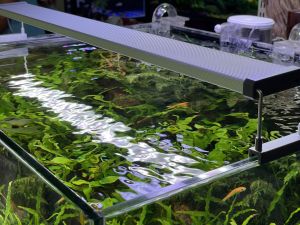 ĐÈN CHIHIROS B-SERIA B120