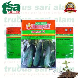 MONAS F1 20gr - Benih biji buah sayuran timun manis kriuk Tahan gemini virus