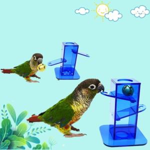 Chim tìm kiếm thức ăn đồ chơi hộp Acrylic trong suốt với chuông kim loại huấn luyện tương tác đồ chơi cho vẹt Vẹt vẹt đuôi dài