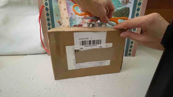 Buyer review video 2