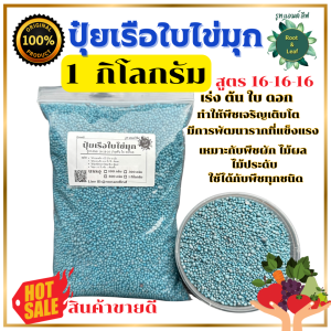 ปุ๋ยเรือใบไข่มุก สูตรเสมอ 16-16-16 เม็ดสีฟ้า บำรุงต้น ดอก ใบ เร่งการเจริญเติบโต เหมาะกับพืชผัก ผลไม้ ต้นไม้ทุกประเภท (แบบแบ่งขาย)ส่งเร็ว!!