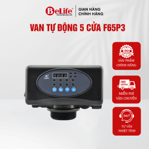 Van tự động 5 cửa Runxin dùng cho hệ thống lọc nước giếng khoan nước máy (Tặng kèm trõ)
