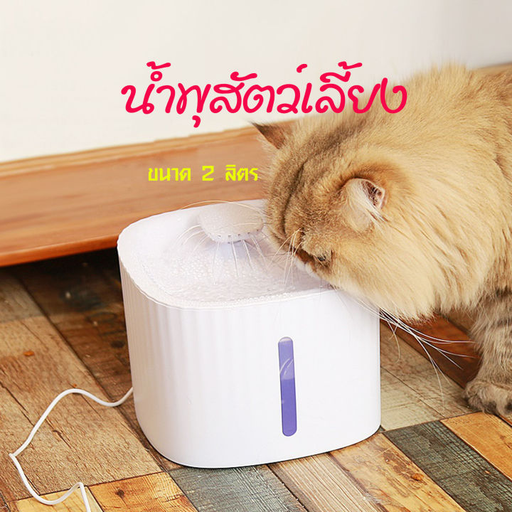 Boqi Factory น้ำพุแมว LED MIS03