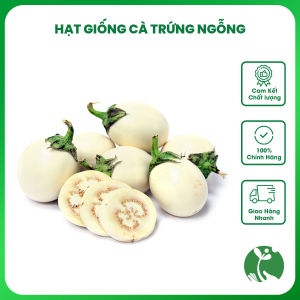 Hạt giống Cà trứng ngỗng - Gói 1gr - Tỉ lệ nảy mầm >90% - Trồng quanh năm