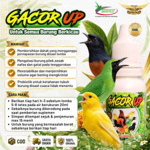 Gacor Up 10ml Penggacor Vitamin Suplemen Burung Kicau