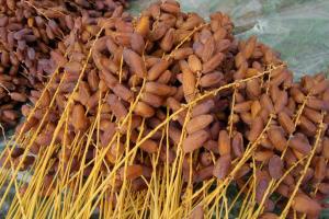 Kurma Tunisia Tangkai grosir kemasan plastik dus oleh oleh haji dan umroh makanan diet sehat