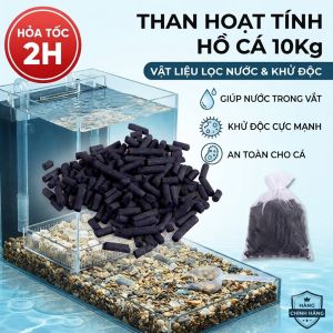 Than Hoạt Tính Lọc Nước Hồ Cá 10KG - Vật Liệu Lọc Bể Cá Khử Độc Khử Mùi Hiệu Quả