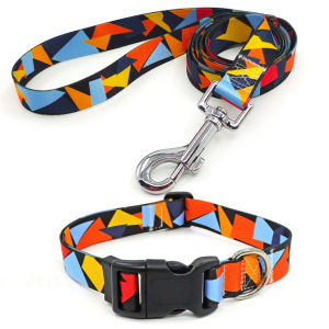 AdjustableCollar Leash Set Outdoor Dog Walking Rope Neck Collar Ins Style
