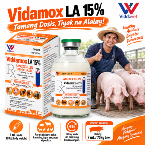 Vidamox LA 15%  amoxicillin trihydrate Long Acting Injectable 100 ml vetrimoxin la for pig injectable for dogs