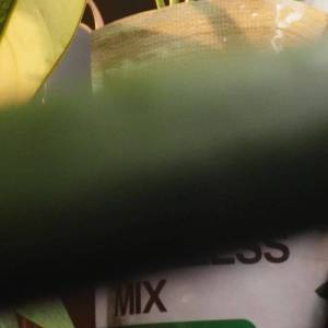 Aroid Potting Mix 5L Well-Draining Soil for Tropical Plants
