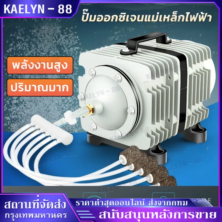 ปั๊มออกซิเจน 45W ACO-318 ปั๊มออกซิเจน ปั๊มลมลูกสูบ เครื่องเติมอากาศ ...