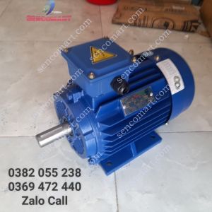 Động cơ mô tơ điện 380v Toàn Phát 3kw(4hp) vòng tua 3000v/p