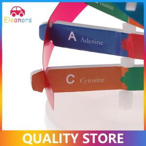 [Eleanor] Human Genes DNA Models Double Helix Science Toys Teaching Learning Education Toy