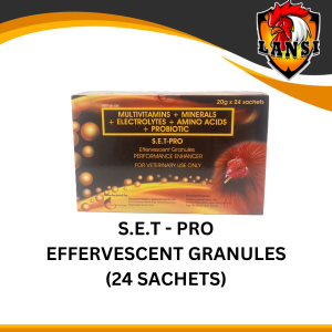 Set Pro 20g x 24 sachets per Box