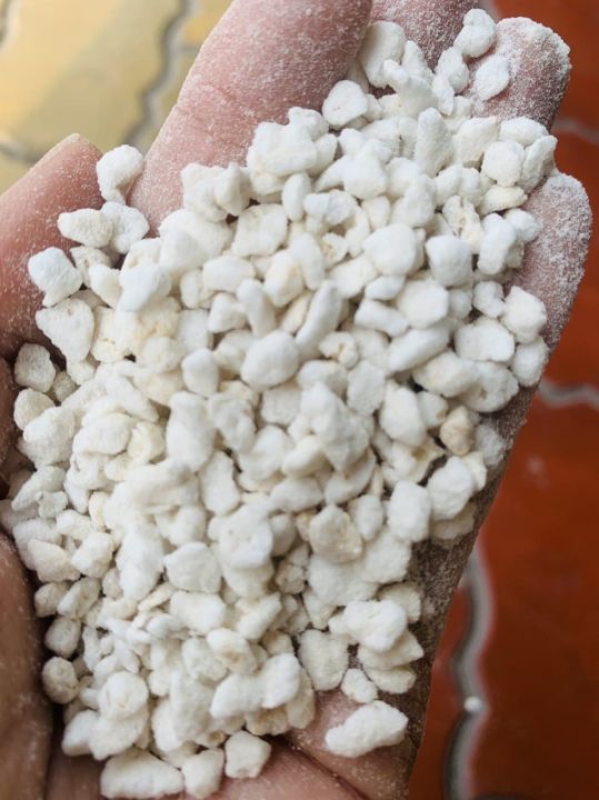 Đá trân châu - Đá perlite dùng trộn đất, trồng cây cảnh, rau mầm, xương rồng, sen đá gói 5dm3