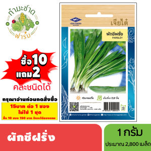 [1ซอง] เจียไต๋ (ซื้อ10แถม2) เมล็ดพันธุ์ ผักชีฝรั่ง ขนาด1กรัม ประมาณ2800เมล็ด Parsley ผักชีใบเลื่อย เมล็ดพันธุ์พืช เมล็ดผัก ปลูกผักสวนครัว